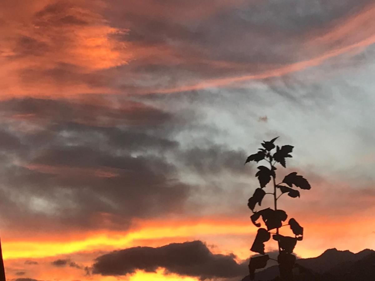 Alte Post Mit Geschichte Und Restaurant Lägenhet Tavanasa Exteriör bild